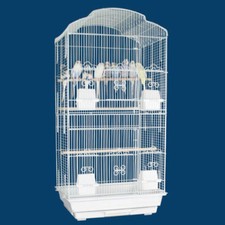 34" Large Canary Parakeet
