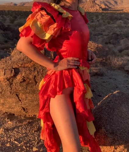 Vintage flamenco costume - vintage,