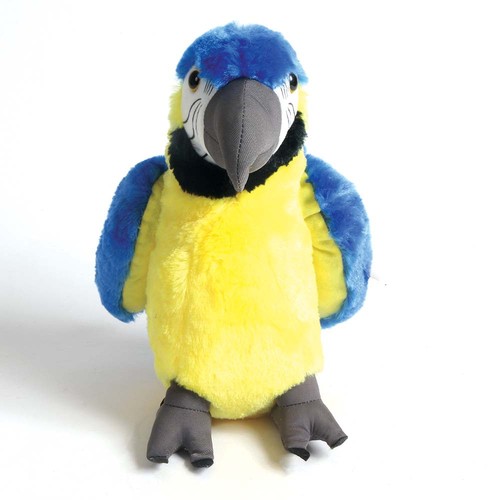 Toby goldfeather the blue - goldfeather, and