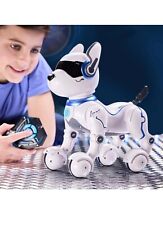 Ziggy the Robo Dog Kids