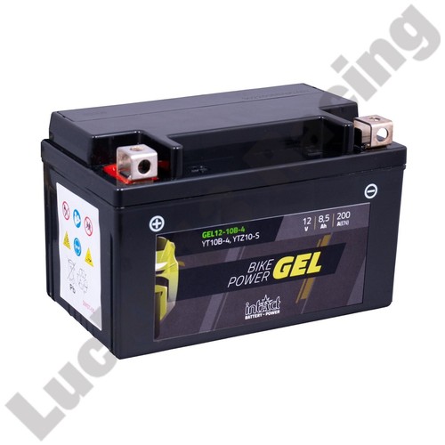 Intact yt10b ytz10 s gel - yt10b-4, ytz10-s