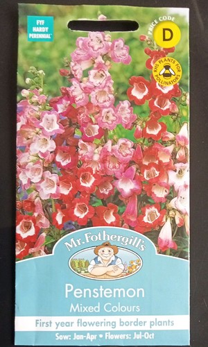 Fothergills penstemon seeds - mr,