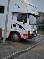 Daf ton horsebox - daf,