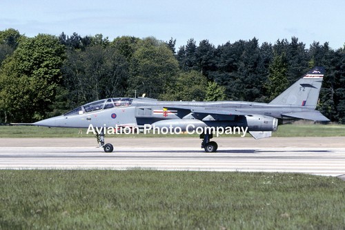 Raf squadron sepecat jaguar - 41,