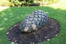 Photo 12x8 Giant Pine Cone Threave Garden  c2018