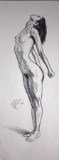 Original Female Charcoal on paper life Drawing nude Girl woman artwork realism