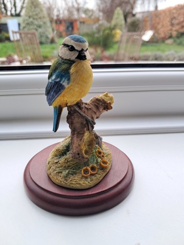 Russell willis bluetit - russell,