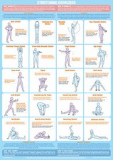 Stretching Exercises Poster |
