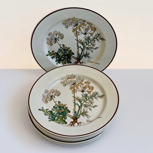 Villeroy and boch botanica - and,