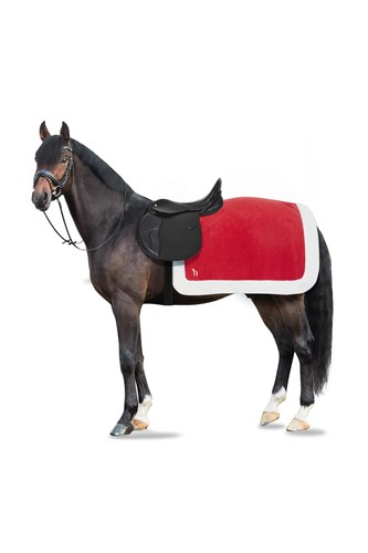 Horze santa christmas fleece - christmas,