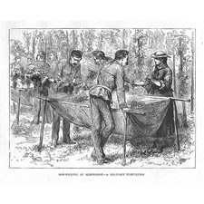Hop Picking at Aldershot - Antique Print 1873
