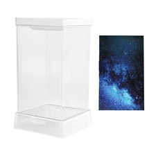 Betta Fish Aquarium Desktop