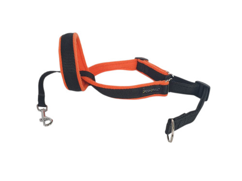 2posh2pull original headcollar - 2posh2pull,