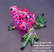 Multi GLASS FROG Beautiful