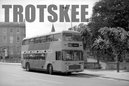 35mm negative badgerline - negative,