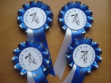Pony Party Rosettes