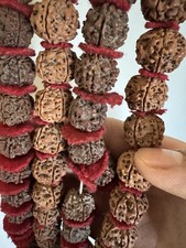 Rudraksha mala rosary necklace - rudraksha,