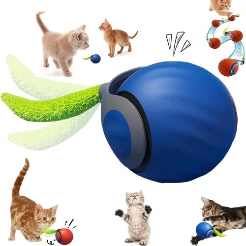 Speedy tail interactive - speedy,
