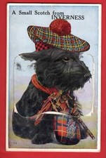 SCOTLAND  INVERNESS   NOVELTY PULL OUT pu 1947  SCOTTISH TERRIER   SCOTTIE DOG
