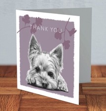 Yorkshire Terrier Yorkie dog