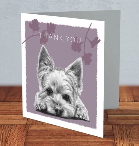 Yorkshire terrier yorkie - yorkshire,