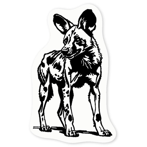 African wild dog standing - wild,