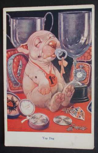 Studdy dogs comic bonzo - dogs,