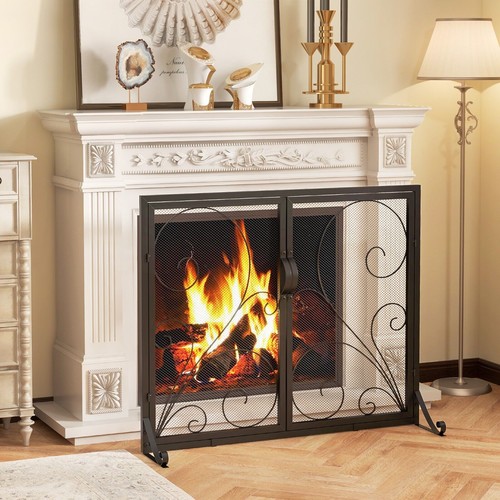 Double door fireplace - door, screen