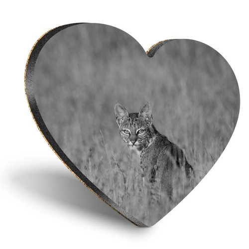 Heart mdf coasters - heart,