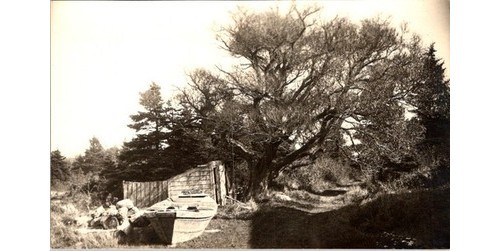 1910s dory boat shed - boat-shed, &