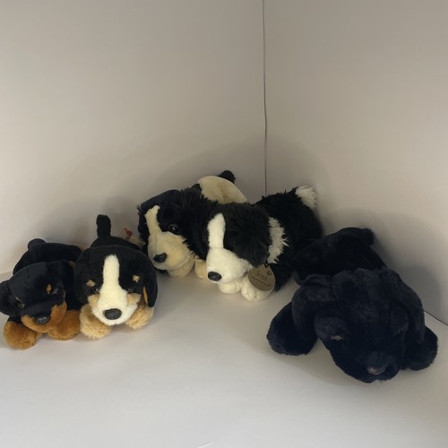 Keel dog puppy - , toy