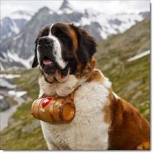 Doodlecards Happy Birthday