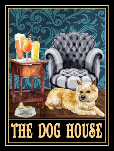 Norwich terrier the dog house - terrier,