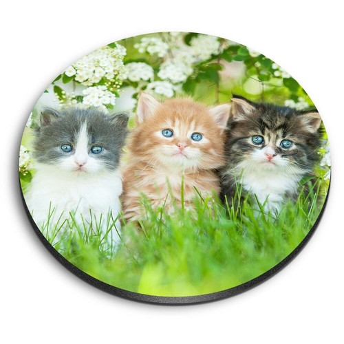 Round mdf magnets gorgeous - magnets,