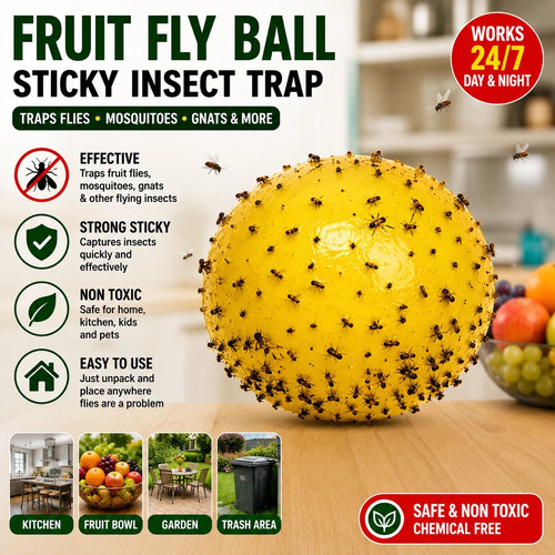 Fruit fly balls - fly, trap