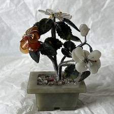 Chinese miniature bonsai - ,