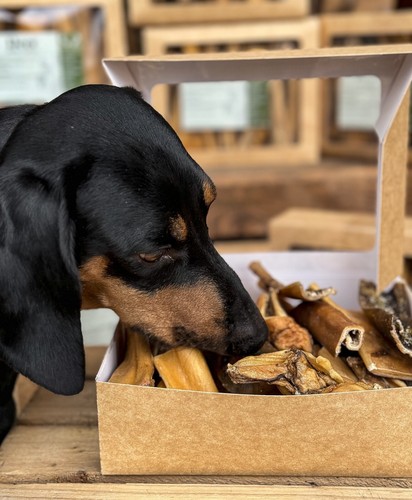 Venison skin dog - dog, 500g