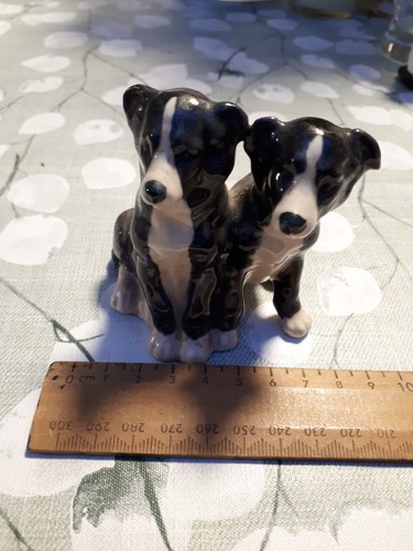 Pair black white - pair, border