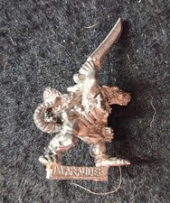 GW Marauder Warhammer WFB ToW