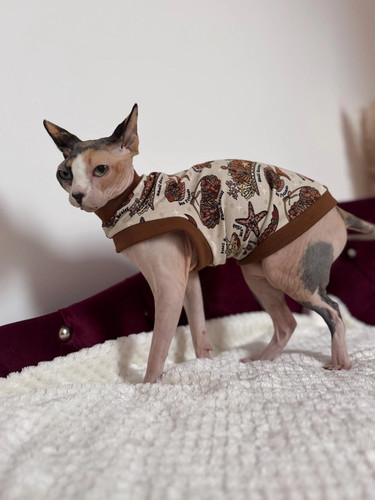 Cotton sphynx cat shirt - cotton,
