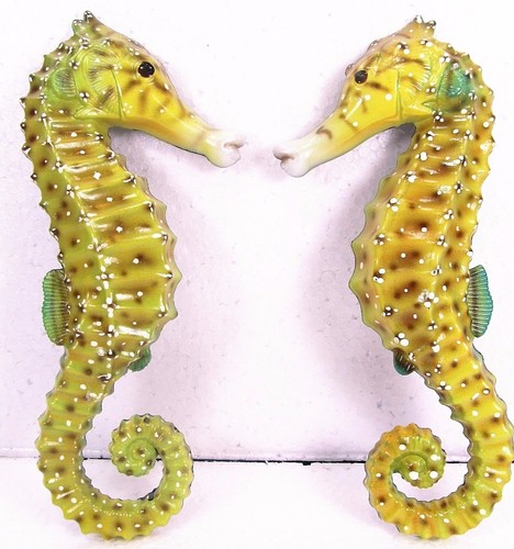 Sea horses tropical - sea, wall
