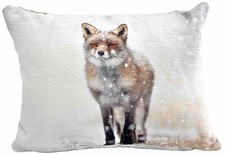 Evan Lichfield Winter Fox