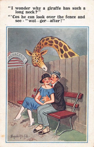 Postcard donald mcgill - postcard,