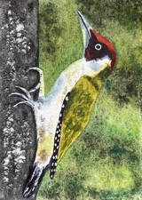 Original Watercolour Green