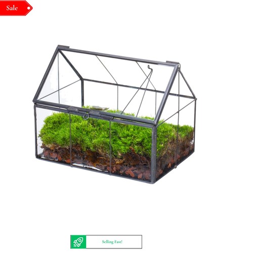 Mini glass terrarium with lid - glass,
