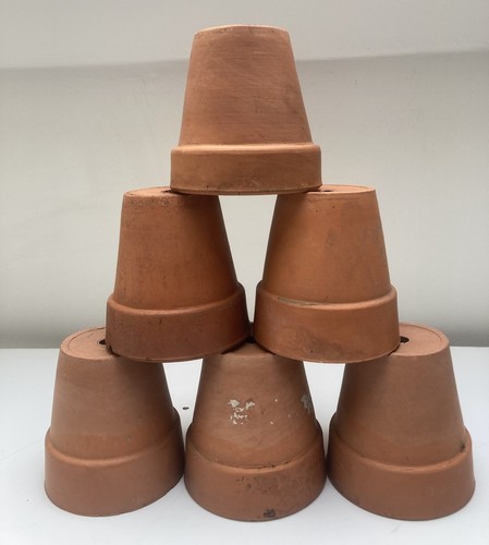 Vintage terracotta plant pots - terracotta,