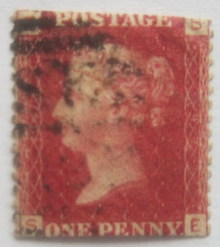 Queen victoria red - victoria,