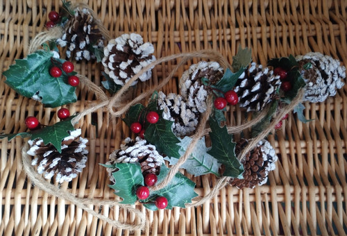 Real pine cone - cone, snowy