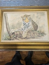 Stephen Gayford Canvas Print Picture Limited Edition of 775 Very Rare. Signed