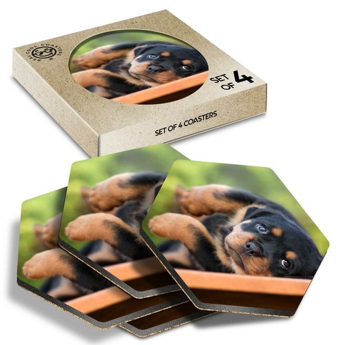 Hexagon coasters - x,